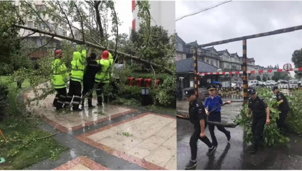 本市住建行业全力以赴投入台风“利奇马”防御和应急抢险工作